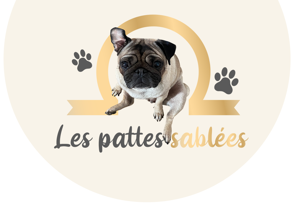 logo_LPS_huguette