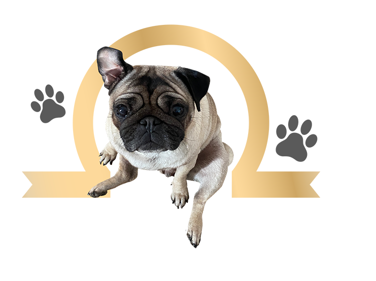Les pattes sablées